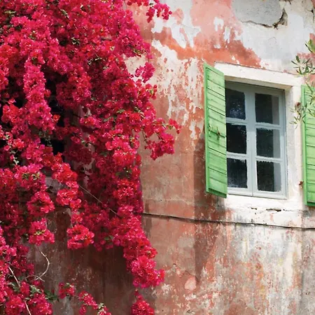 Bay View * ガイオス